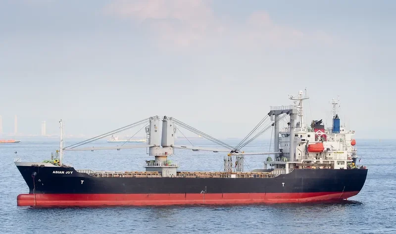 ASIAN JOY General Cargo IMO 9409704 photo 9