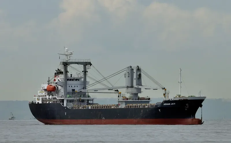ASIAN JOY General Cargo IMO 9409704 photo 10