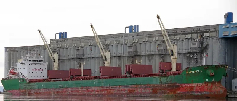 BARNACLE Bulk Carrier IMO 9409742