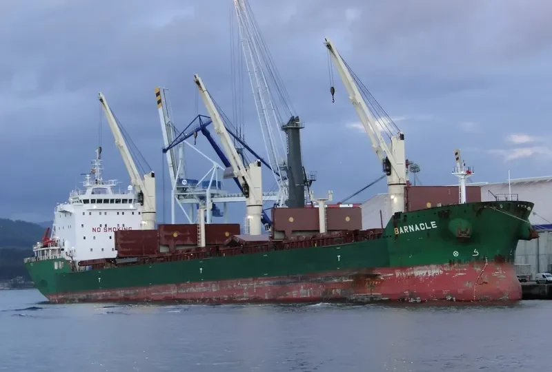 BARNACLE Bulk Carrier IMO 9409742 photo 2