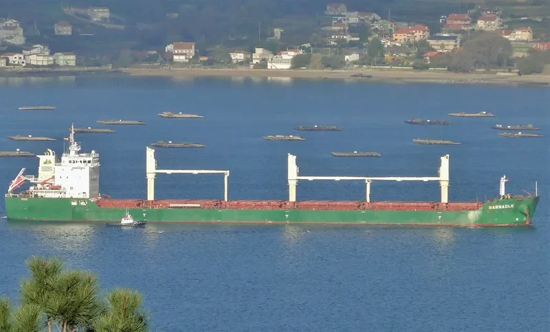 BARNACLE Bulk Carrier IMO 9409742 photo 4