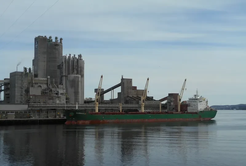 BARNACLE Bulk Carrier IMO 9409742 photo 6