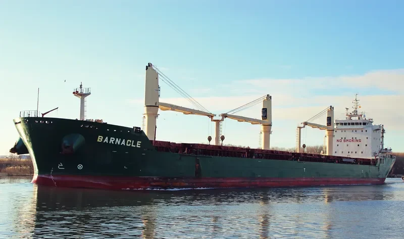 BARNACLE Bulk Carrier IMO 9409742 photo 8
