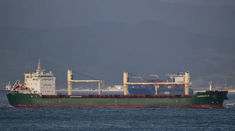 BARNACLE Bulk Carrier IMO 9409742 photo 9