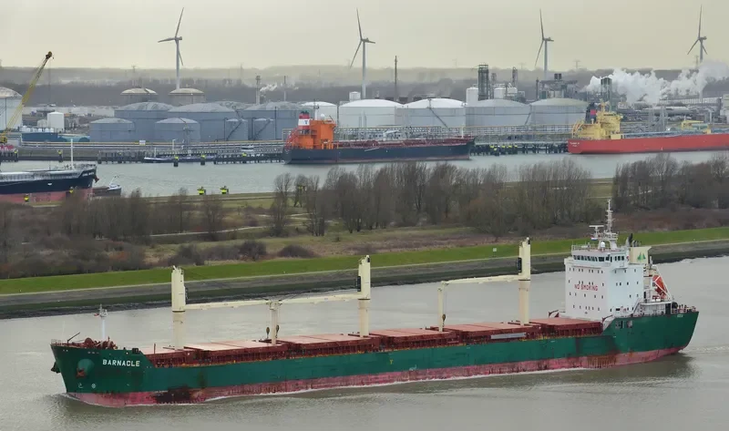BARNACLE Bulk Carrier IMO 9409742 photo 10