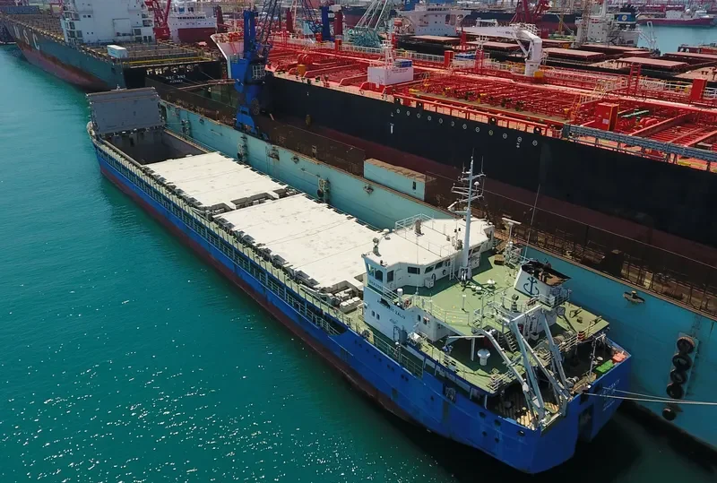 AMURSKIY ZALIV General Cargo IMO 9409754 photo 2