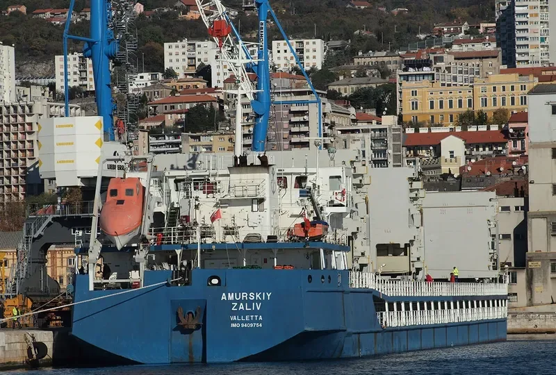 AMURSKIY ZALIV General Cargo IMO 9409754 photo 8