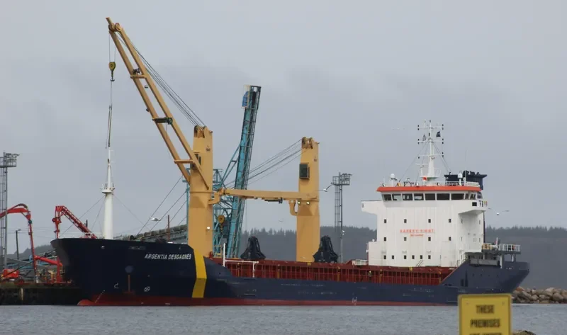 ARGENTIA DESGAGNES General Cargo IMO 9409895 photo 3