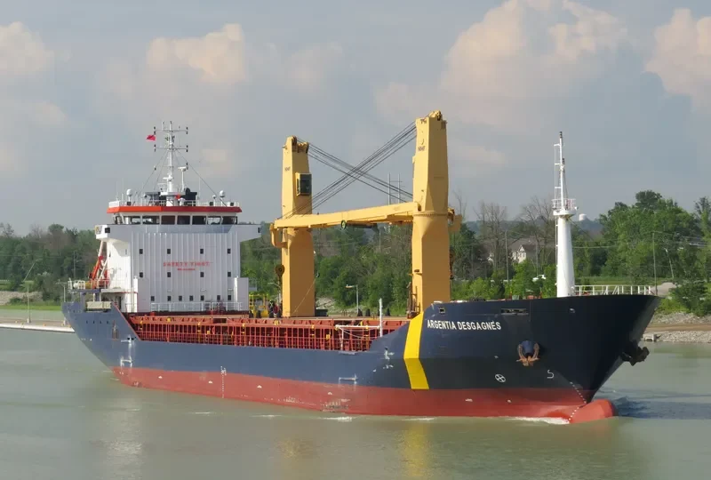 ARGENTIA DESGAGNES General Cargo IMO 9409895 photo 5