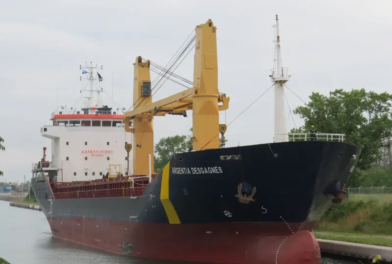 ARGENTIA DESGAGNES General Cargo IMO 9409895 photo 7