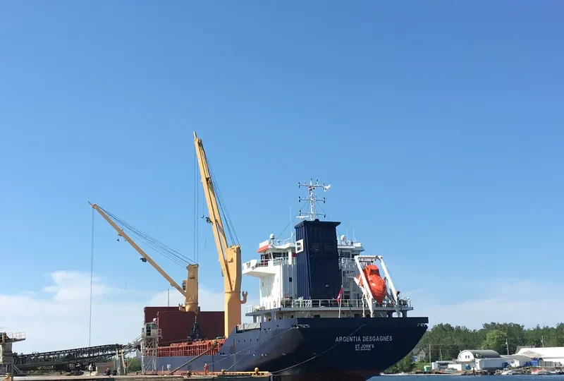 ARGENTIA DESGAGNES General Cargo IMO 9409895 photo 10