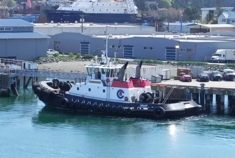 DELTA LINDA General Cargo IMO 9409948 photo 4