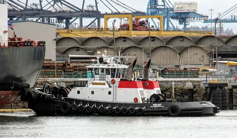 DELTA LINDA General Cargo IMO 9409948 photo 9