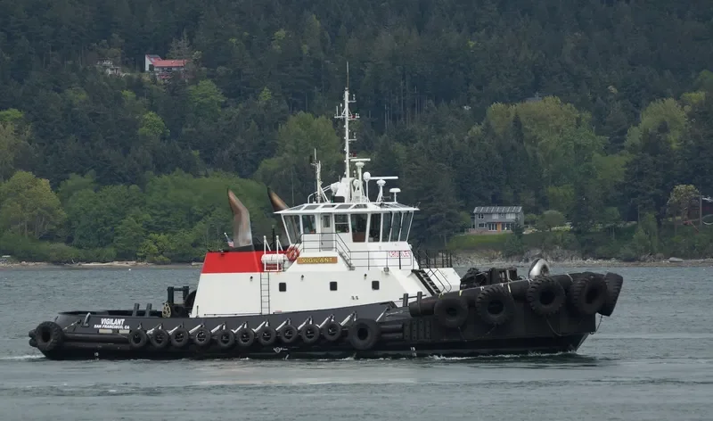 DELTA LINDA General Cargo IMO 9409948 photo 10