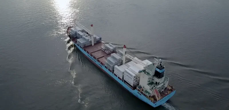 AS SUSANNA Container Ship IMO 9410296