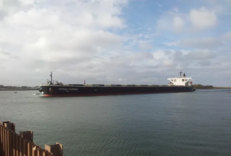 OCEAN CORONA Bulk Carrier IMO 9410404 photo 6