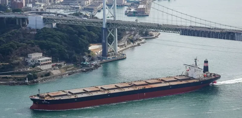 WINNING RESILIENCE Bulk Carrier IMO 9410430 photo 4