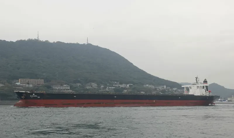 WINNING RESILIENCE Bulk Carrier IMO 9410430 photo 5