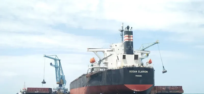 OCEAN CLARION Bulk Carrier IMO 9410454 photo 3
