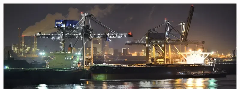 OCEAN CLARION Bulk Carrier IMO 9410454 photo 6