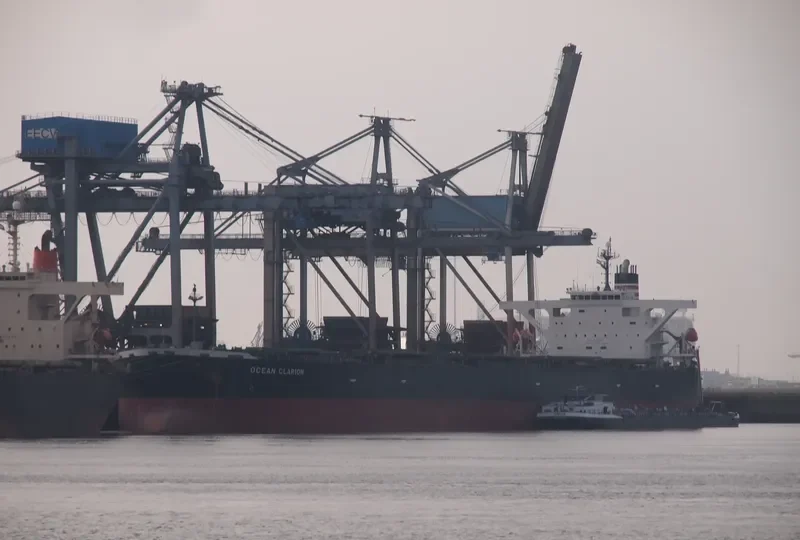 OCEAN CLARION Bulk Carrier IMO 9410454 photo 7