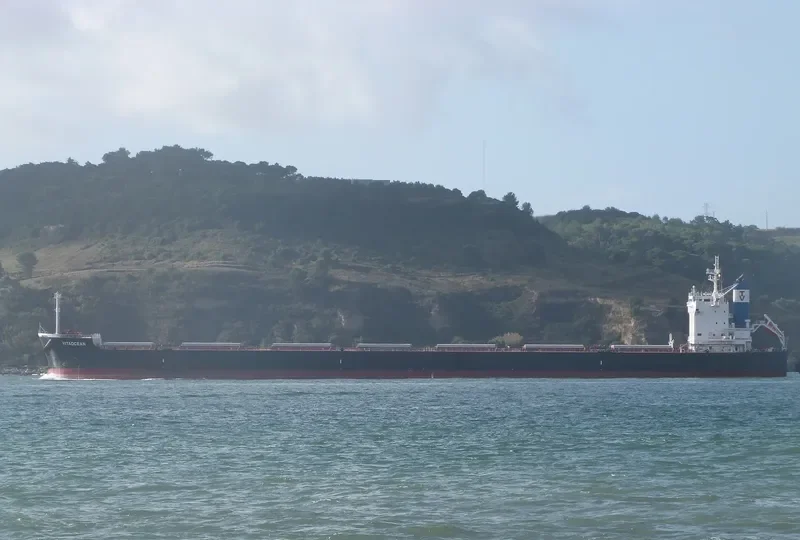 PGS ARTEMIS General Cargo IMO 9410492