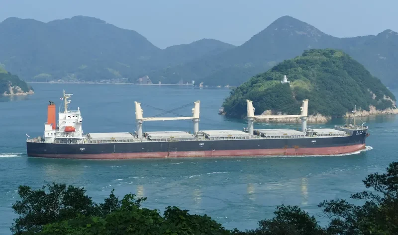 KAIWO MARU Bulk Carrier IMO 9410595 photo 7