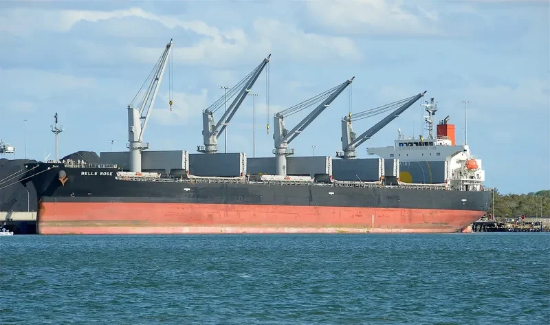 BELLE ROSE Bulk Carrier IMO 9410600 photo 3