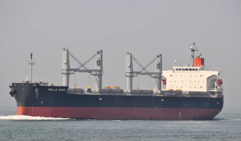 BELLE ROSE Bulk Carrier IMO 9410600 photo 4