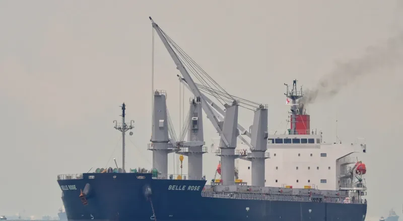 BELLE ROSE Bulk Carrier IMO 9410600 photo 6