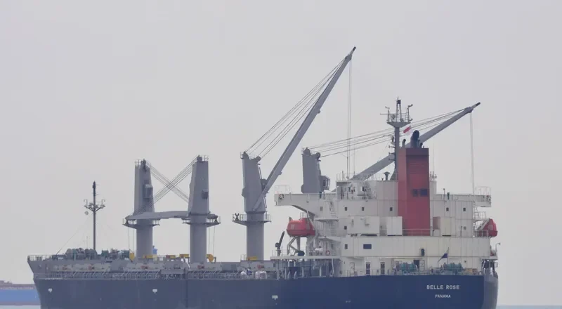 BELLE ROSE Bulk Carrier IMO 9410600 photo 7