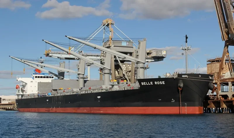 BELLE ROSE Bulk Carrier IMO 9410600 photo 8