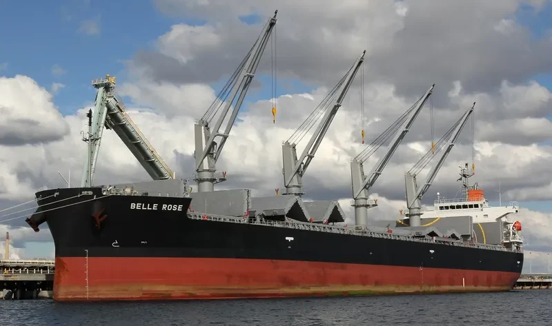 BELLE ROSE Bulk Carrier IMO 9410600 photo 9