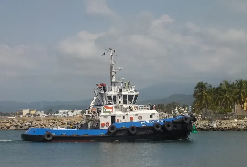 TMM TEPALCATES General Cargo IMO 9410698 photo 2