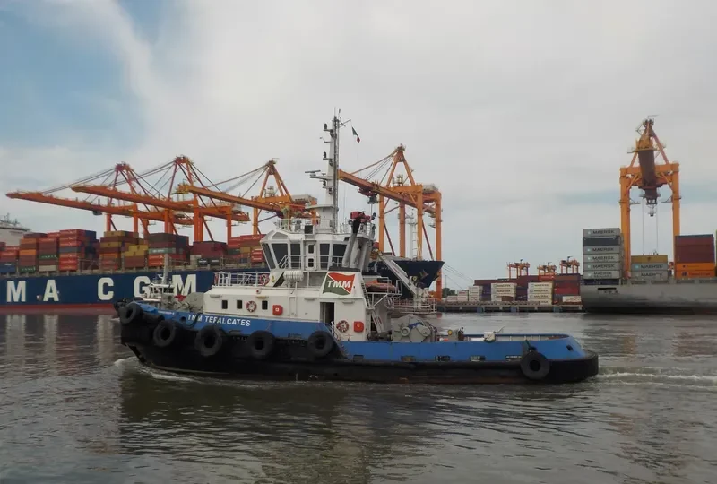 TMM TEPALCATES General Cargo IMO 9410698 photo 3