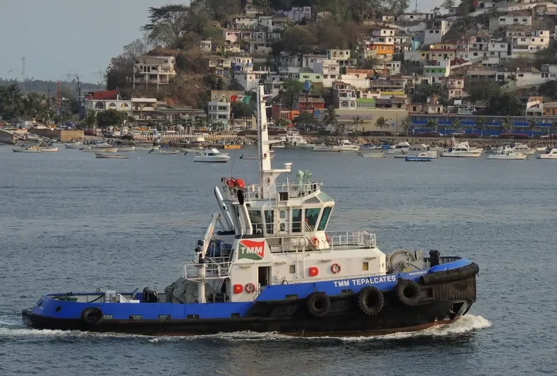 TMM TEPALCATES General Cargo IMO 9410698 photo 7