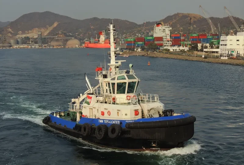 TMM TEPALCATES General Cargo IMO 9410698 photo 8