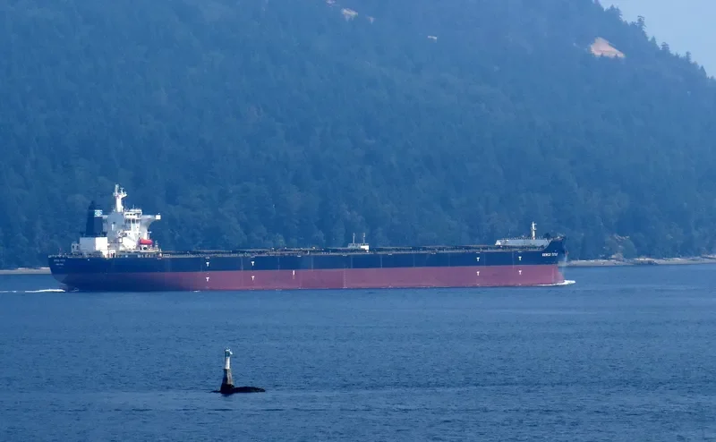 GENCO TITUS Bulk Carrier IMO 9410959 photo 4