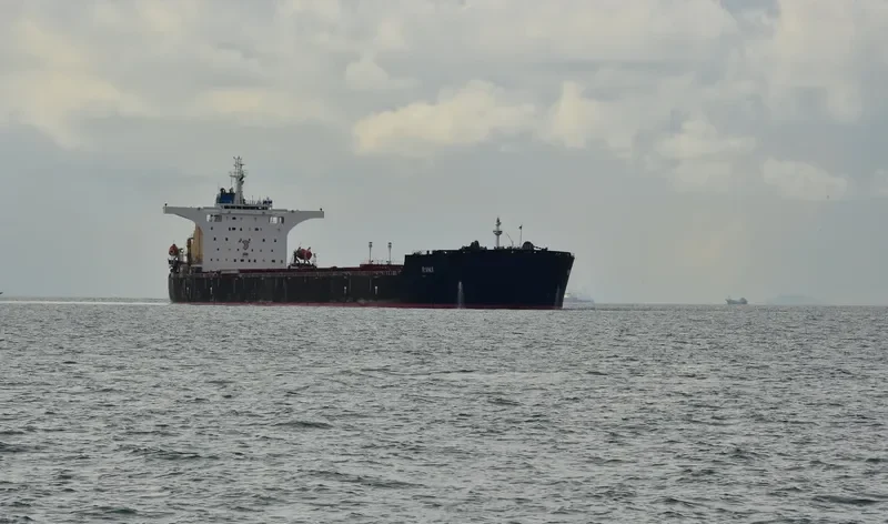 RINI Bulk Carrier IMO 9411006
