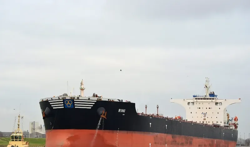 RINI Bulk Carrier IMO 9411006 photo 2