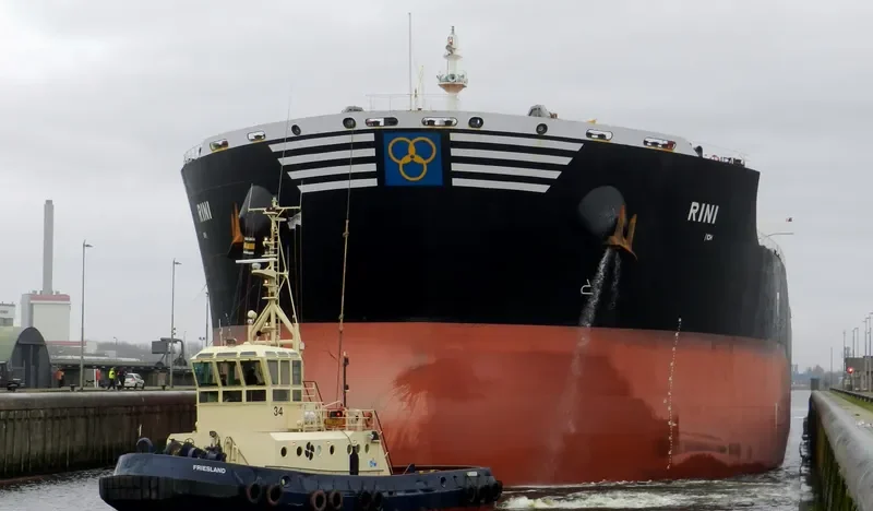 RINI Bulk Carrier IMO 9411006 photo 3