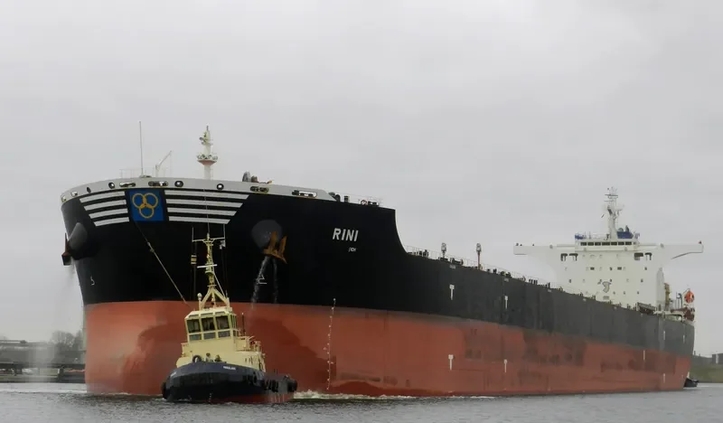 RINI Bulk Carrier IMO 9411006 photo 4
