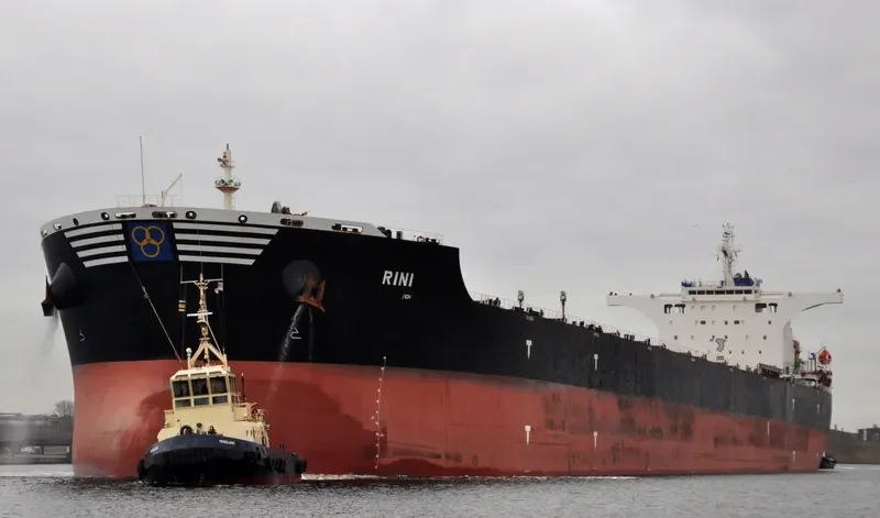 RINI Bulk Carrier IMO 9411006 photo 7