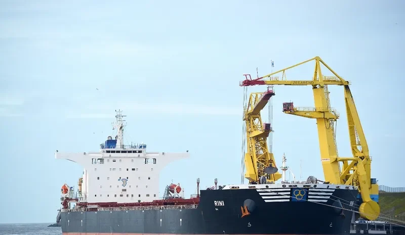 RINI Bulk Carrier IMO 9411006 photo 8