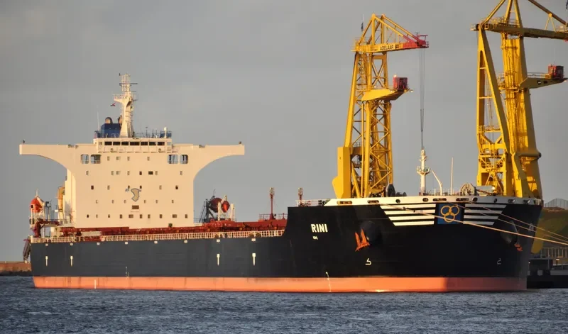 RINI Bulk Carrier IMO 9411006 photo 10