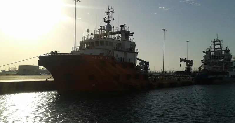 HALUL 29 Offshore Vessel IMO 9411094