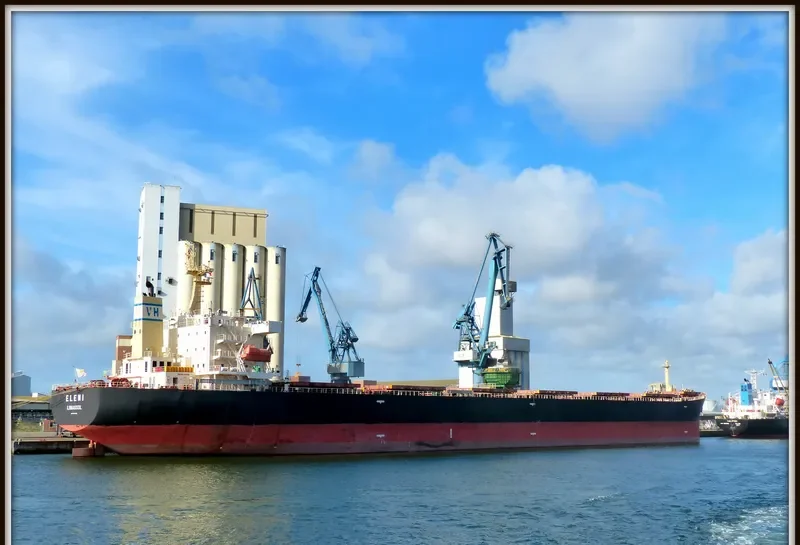ELENI Bulk Carrier IMO 9411525 photo 3