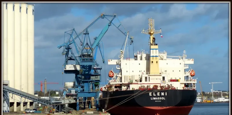 ELENI Bulk Carrier IMO 9411525 photo 4