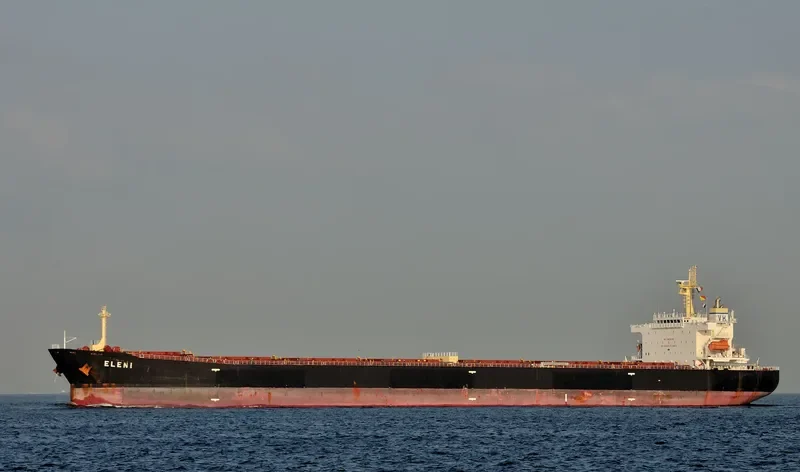 ELENI Bulk Carrier IMO 9411525 photo 6