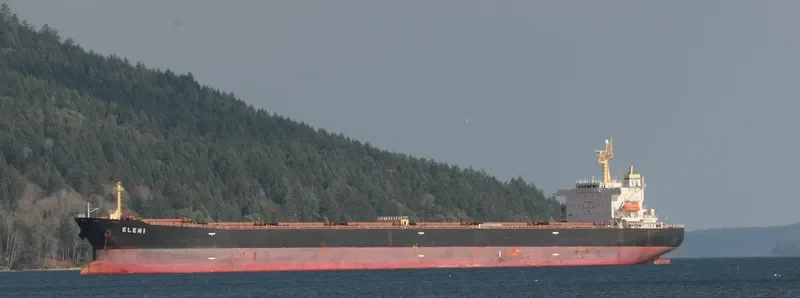 ELENI Bulk Carrier IMO 9411525 photo 9